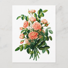 Botanische roze Peony Bokeh Briefkaart
