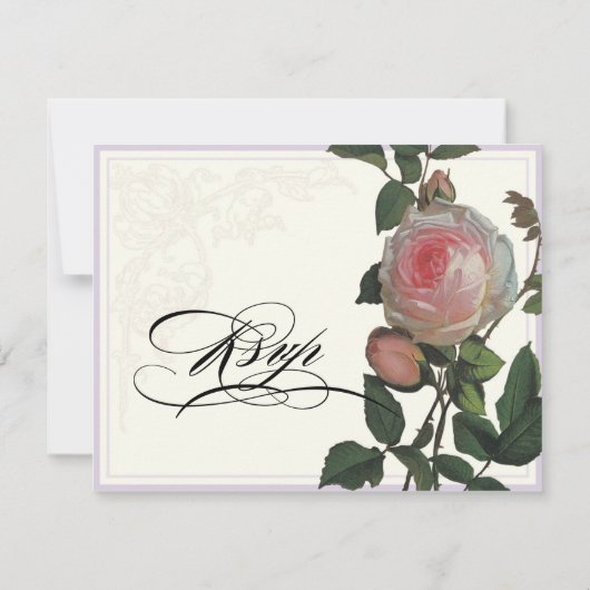 Botanische Roze Roos, Lavendel RSVP Respons Kaart (Achterkant)