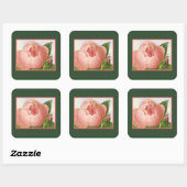 Botanische roze Roos Sticker (Vel)
