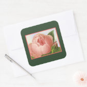 Botanische roze Roos Sticker (Envelop)