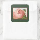 Botanische roze Roos Sticker (Tas)