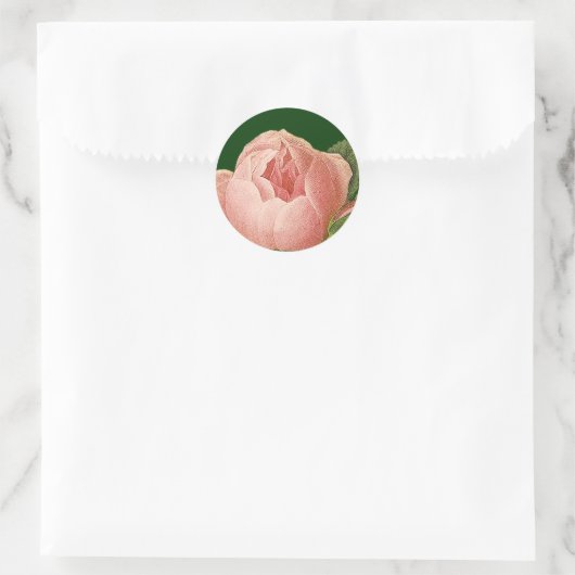 Botanische roze Roos Sticker (Tas)