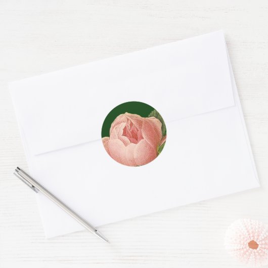 Botanische roze Roos Sticker (Envelop)