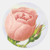 Botanische roze Rosebud Sticker (Voorkant)
