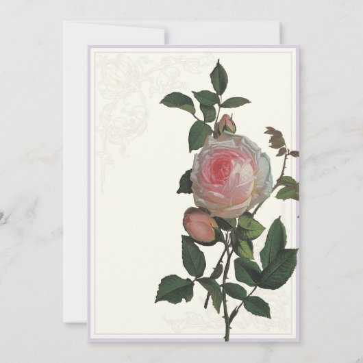 Botanische roze roze, lavender Weddenschap Kaart (Achterkant)