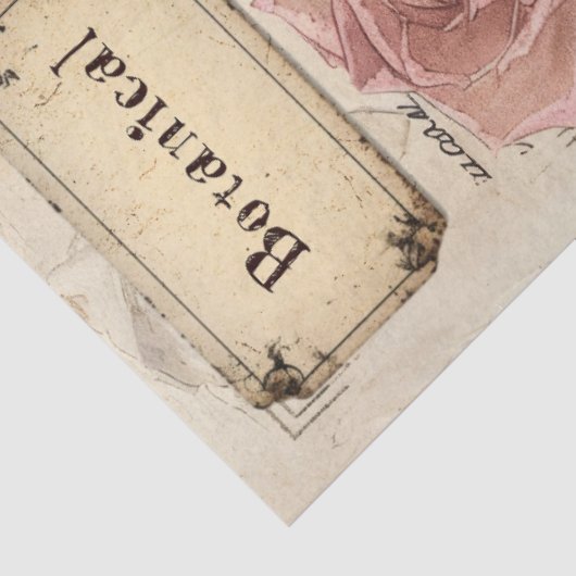 Botanische Roze Rozen & Vlinder Ephemera Tissuepapier (Detail)