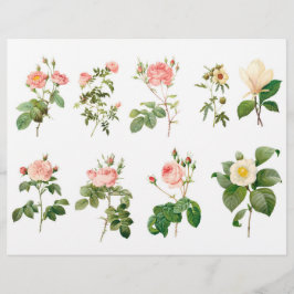 Botanische Rozen Fussy Cuts met Script op de rug