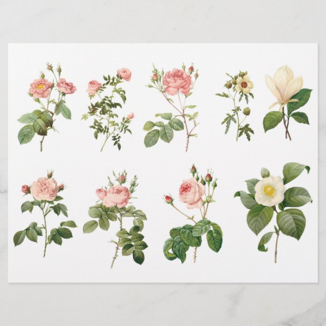 Botanische Rozen Fussy Cuts met Script op de rug (Voorkant)