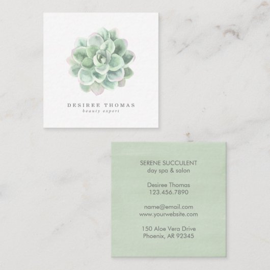 Botanische Sage Green Waterverf Succulent Vierkante Visitekaartje (Voorkant / Achterkant)