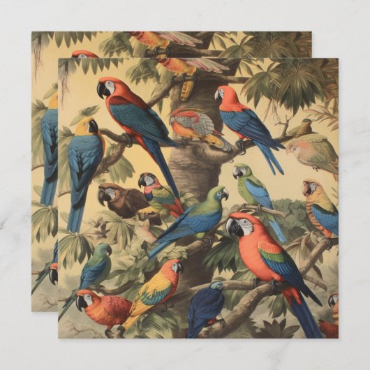  botanische scène kleurrijke papegaaien in een boo (Voorkant / Achterkant)