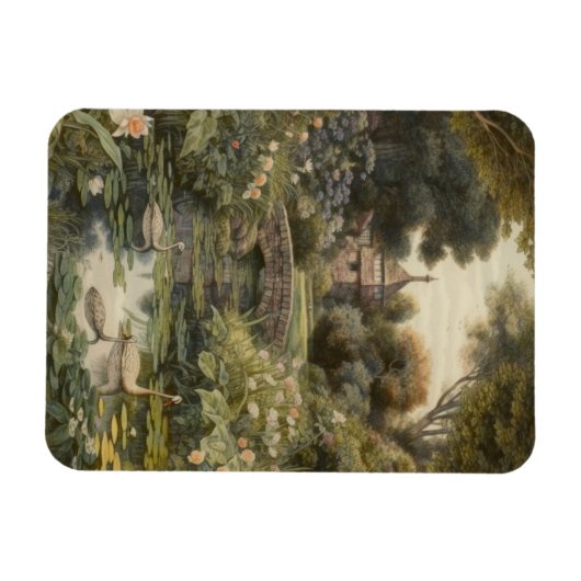 Botanische scène van zwanen in een Engelse tuin Magneet (Horizontaal)