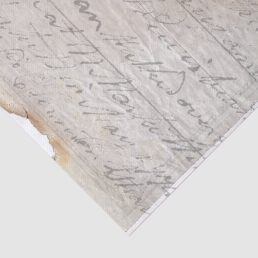 Botanische schets antiek papier voor ontkoppeling  (Detail)