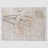 Botanische schets antiek papier voor ontkoppeling  (Voorkant)