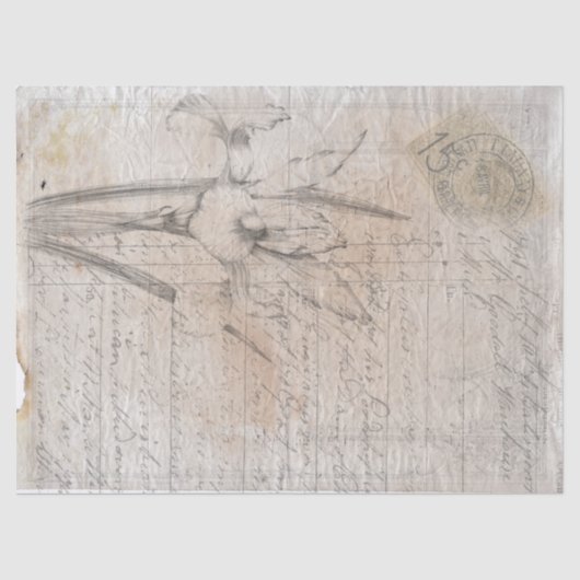 Botanische schets antiek papier voor ontkoppeling  (Voorkant)