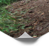 Botanische serie 123 poster (Hoek)