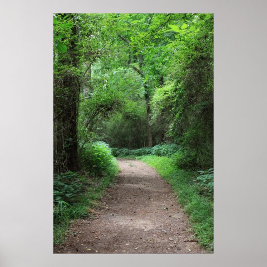Botanische serie 123 poster (Voorkant)
