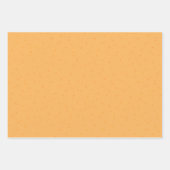 Botanische sinaasappel- en picknickfestival inpakpapier vel (Voorkant 2)