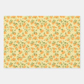 Botanische sinaasappel- en picknickfestival inpakpapier vel (Voorkant)