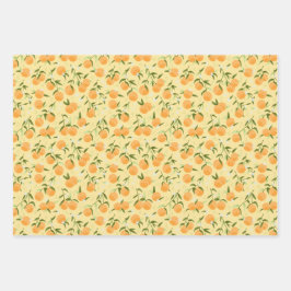 Botanische sinaasappel- en picknickfestival inpakpapier vel