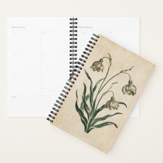botanische sinaasappelmolen planner (Display)