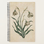 botanische sinaasappelmolen planner (Voorkant)