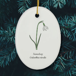 Botanische Sneeuwdruppelpastel Bloem Keramisch Ornament