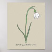 Botanische Sneeuwdruppelpastel Bloem Poster (Voorkant)