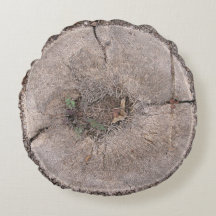 Botanische Snijpalm Band Foto Ronde Pijl