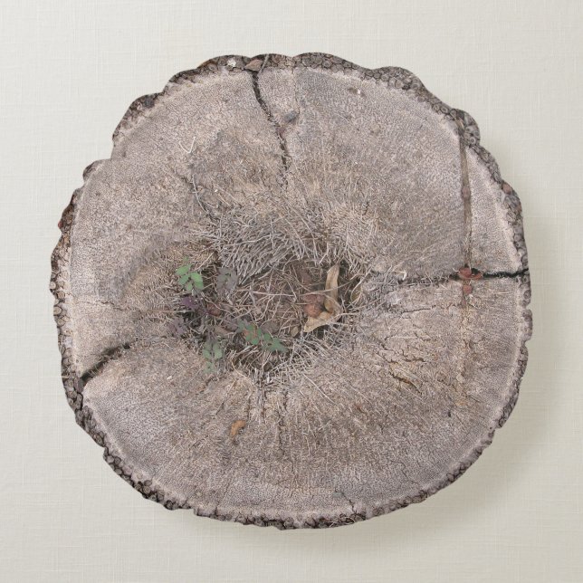 Botanische Snijpalm Band Foto Ronde Pijl Rond Kussen (Voorkant)