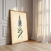 Botanische Speedwell Vintage Muurkunst Poster