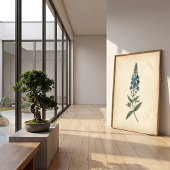 Botanische Speedwell Vintage Muurkunst Poster