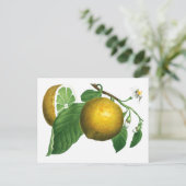 BOTANISCHE  STIJL LEMON BRANCH BRIEFKAART (Staand voorkant)