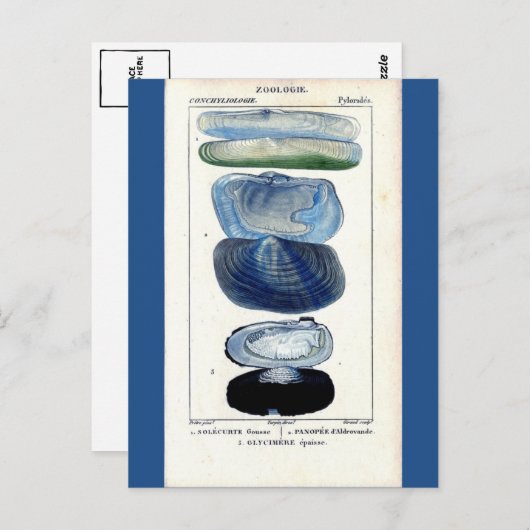  botanische strandkunst briefkaart (Voorkant / Achterkant)