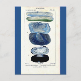 botanische strandkunst briefkaart