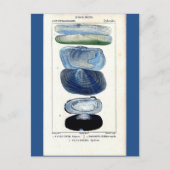  botanische strandkunst briefkaart (Voorkant)