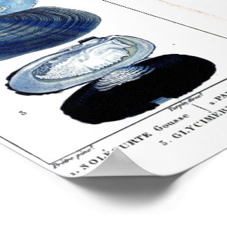  botanische strandkunst poster