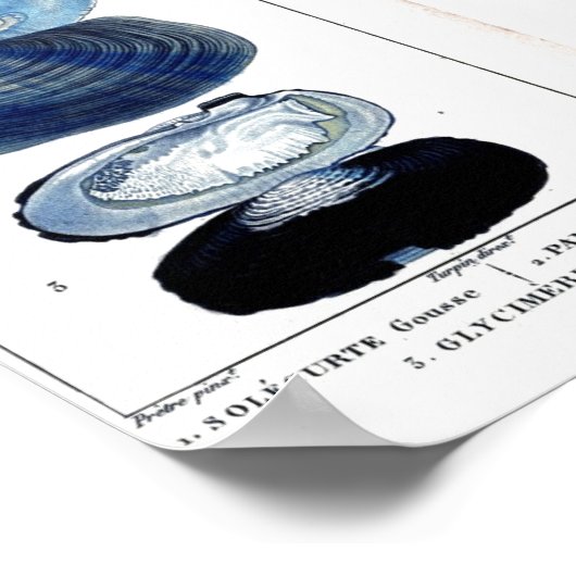  botanische strandkunst poster (Hoek)