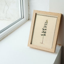 Botanische studie Decoupage Paper