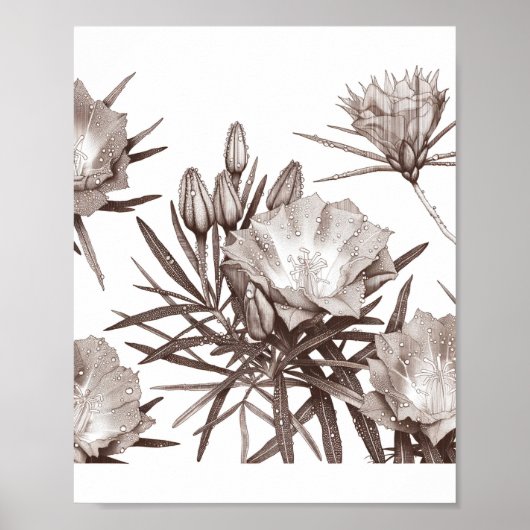 Botanische Studie - Woestijn Wilde Bloemen Poster (Voorkant)