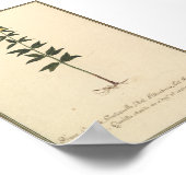 Botanische studieposter poster (Hoek)