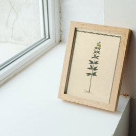 Botanische studieposter poster