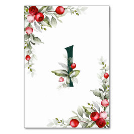 Botanische tabel 1 Wedstrijknummer noel Kaart