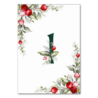 Botanische tabel 1 Wedstrijknummer noel Kaart