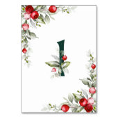 Botanische tabel 1 Wedstrijknummer noel Kaart (Voorkant)