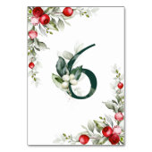 Botanische tabel 6 Boortnummer noel Kaart (Achterkant)