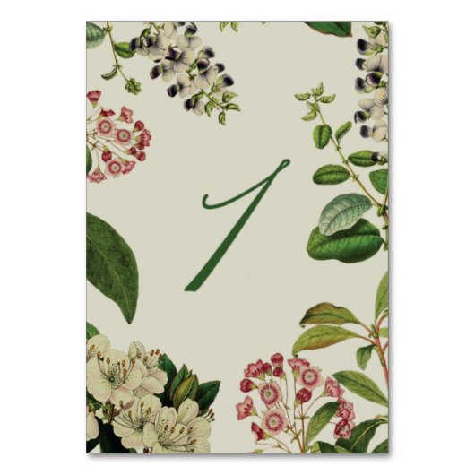 BOTANISCHE TABELNUMMERS - CRÈME KAART (Achterkant)