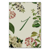 BOTANISCHE TABELNUMMERS - CRÈME KAART (Voorkant)