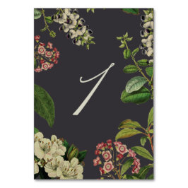 BOTANISCHE TAFELNUMMERS- GRIJS KAART