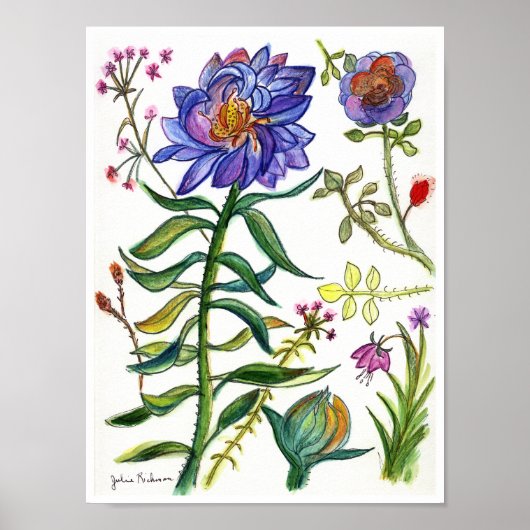 Botanische tekening van de prachtige blauwe ventil poster (Voorkant)