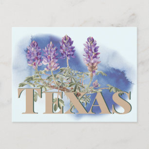 Botanische Texas Bluebonnet 2 Briefkaart